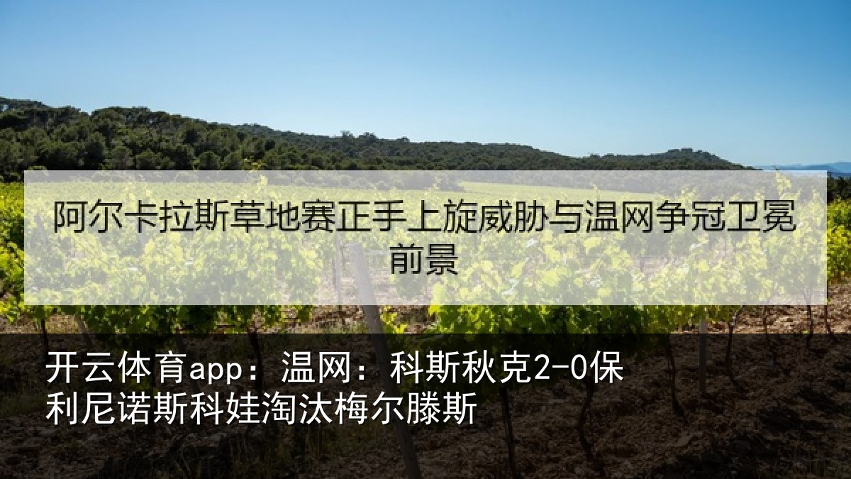开云体育app:温网相关情况斯科娃淘汰梅尔滕斯