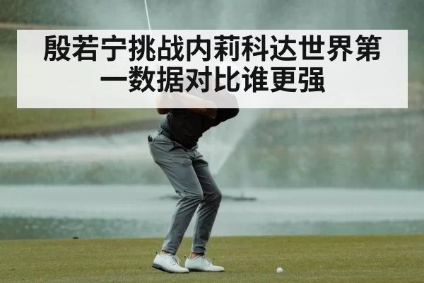 殷若宁挑战内莉科达世界第一数据对比谁更强